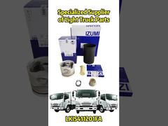 Część zamienna OEM dla ISUZU / Mitsubishi / HINO / JAC / NISSAN / TOYOTA