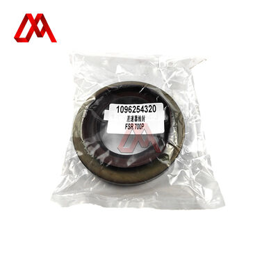 Trucks Parts Suppliers 1096254320 1-09625432-0 1-09625-432-0 RR CO Oil Seal for ISUZU