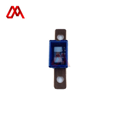 Chevrolet Honda 8-94388306-0 8943883060 Fuse Slow Blow 100A for Isuzu